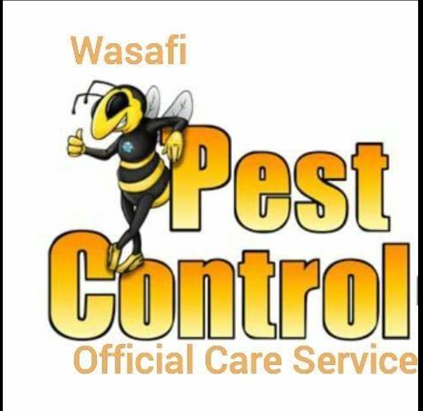 Home Wasafi